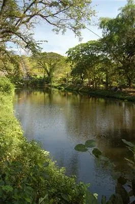 Angelegter Fluss im National Park