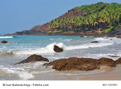 Strandabschnitt in Goa