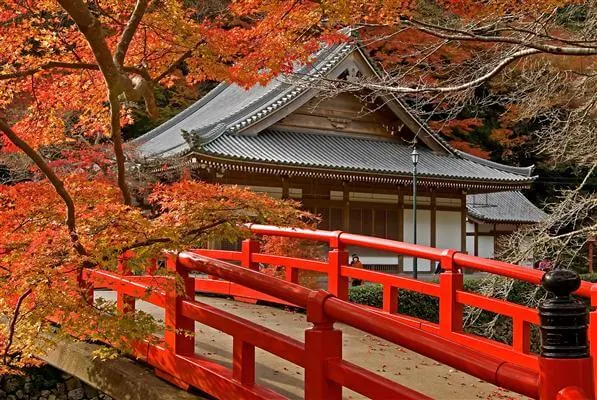 Tempel im Herbst - Japan
